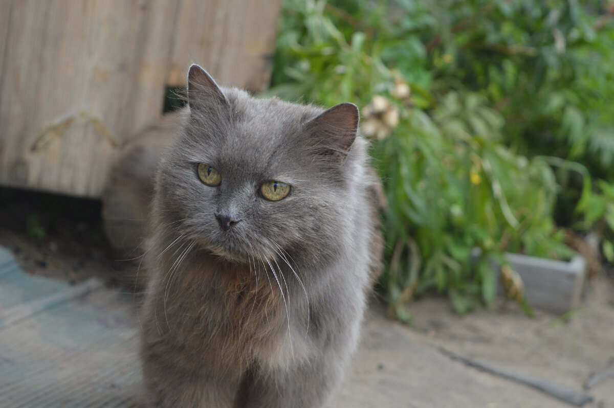 Это моя мама!