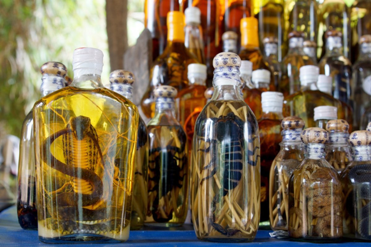    Смертельная кротовуха. Можно ли пить спиртовые настойки на кротах и змеях?