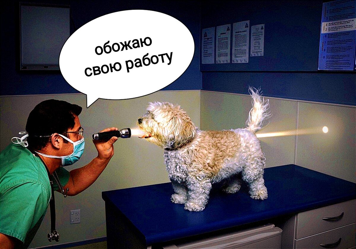 - Какой интересный эффект! Поделюсь с коллегами на очередной конференции...
