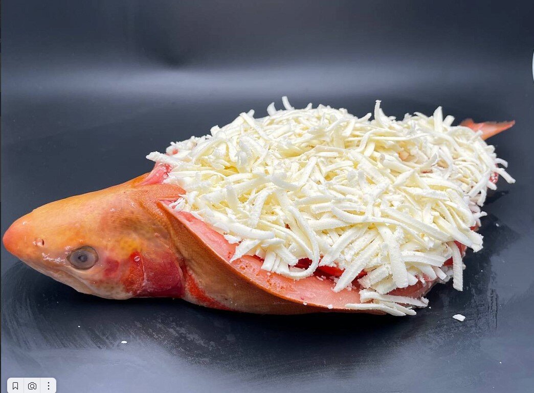 Форель со шпинатом, томатами и сыром от "Азбуки Севера"