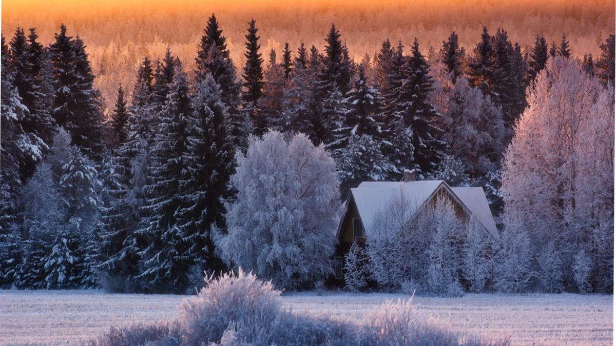 Фото из открытых источников интернета Яндекс.картинки