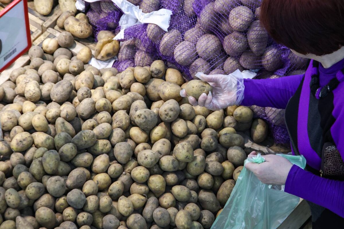 Фото: Сергей Лантюхов / Абзац