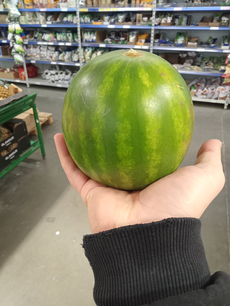 Это арбуз
