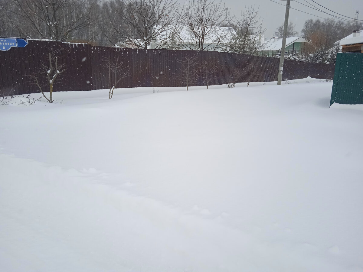 Снежная целина