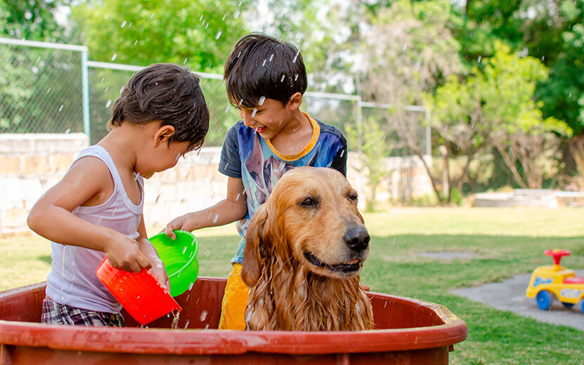  Закаливание – контролируемая нагрузка на иммунитет. Фото: wirestock на freepik