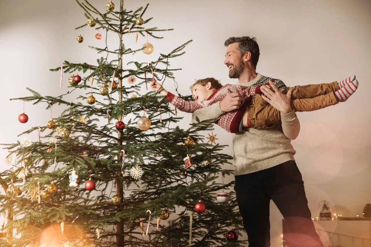 Картинки из Яндекса. 