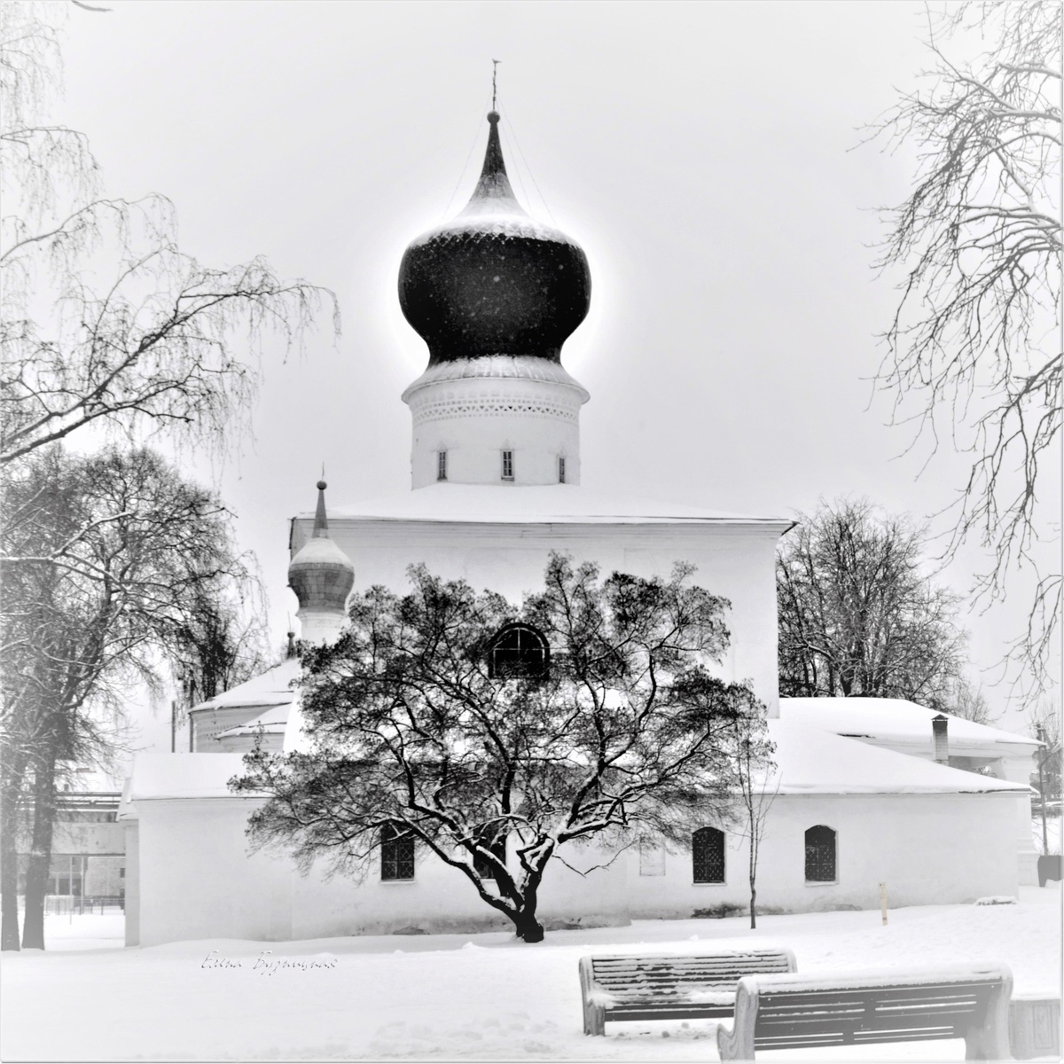 Я тебе желаю вьюгу. Чтоб метель весь год мела...