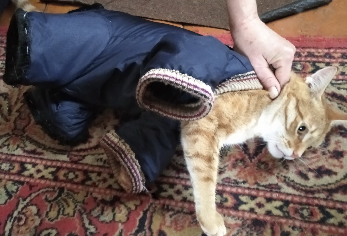 Личное фото.