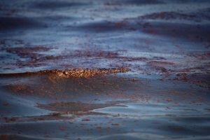    Фото: demorgen.be Святослав Лавренко