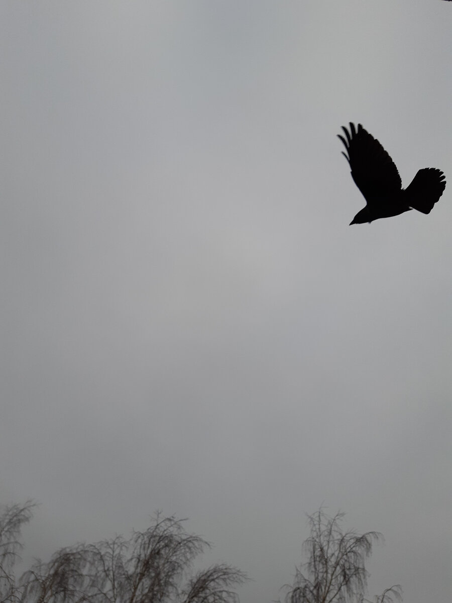 Чем случайнее кадр, тем он необычнее. 