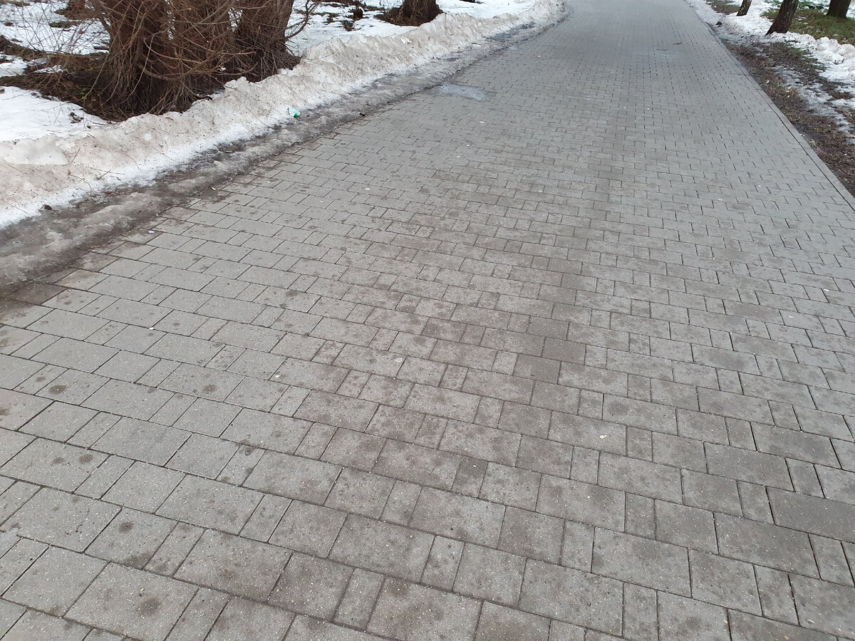 Вот так примерно выглядит тротуарная плитка летом.