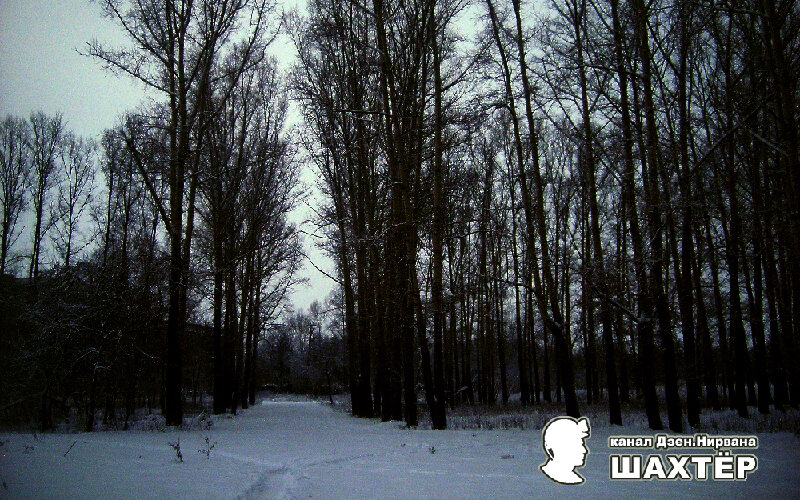 Фото автора. Снимок не имеет прямого отношения к истории, а лишь косвенно иллюстрирует публикацию.