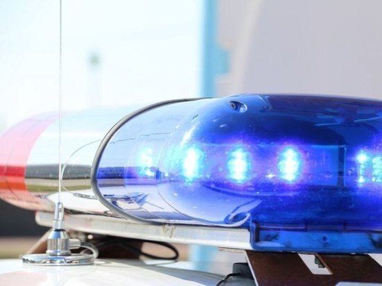     Фото: пресс-службы УМВД России по Томской области