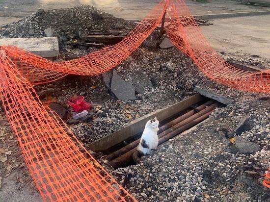     фото: МК в Туле