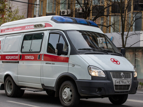     Фото: МК на Дону
