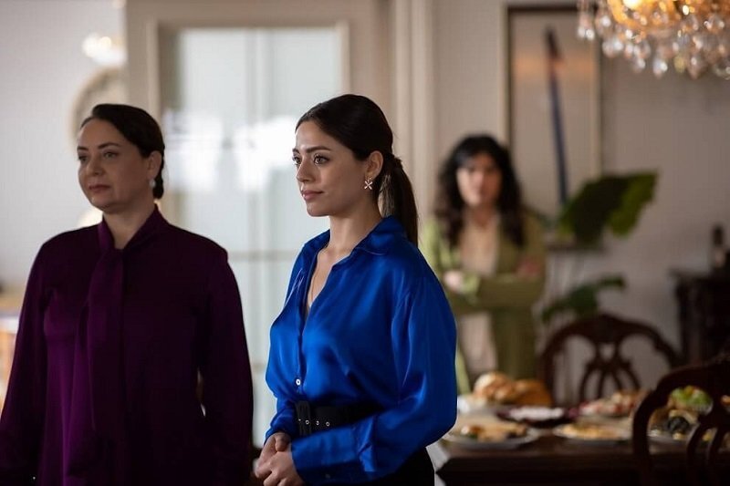 Обзор на 6 серию турецкого сериала "Клюквенный щербет" Карина Винтер Дзен