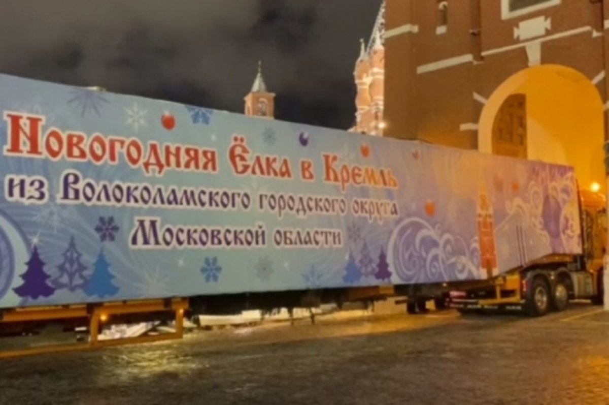    Главную елку страны посетили более 5 тысяч членов семей участников СВО