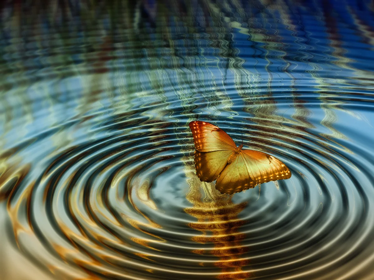 Неверное мнение генерирует бесконечные неверные действия…