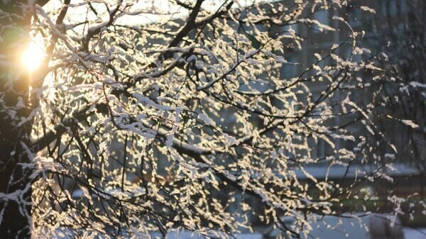   © Sputnik / Анастасия Куприянова