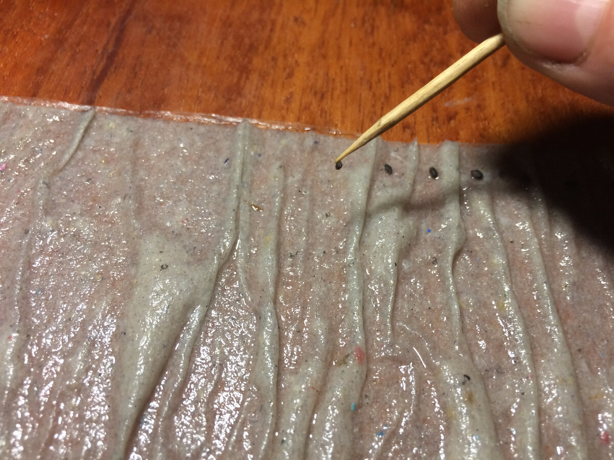 раскладываю семена базилика зубочисткой. смоченной в воде. Семена прилипают к мокрой зубочистке и процесс переноса семян на туалентую бумагу не представляет никаких трудностей.