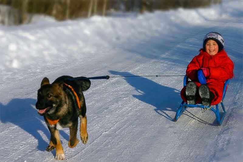 Вот примерно так это и было.... радостно