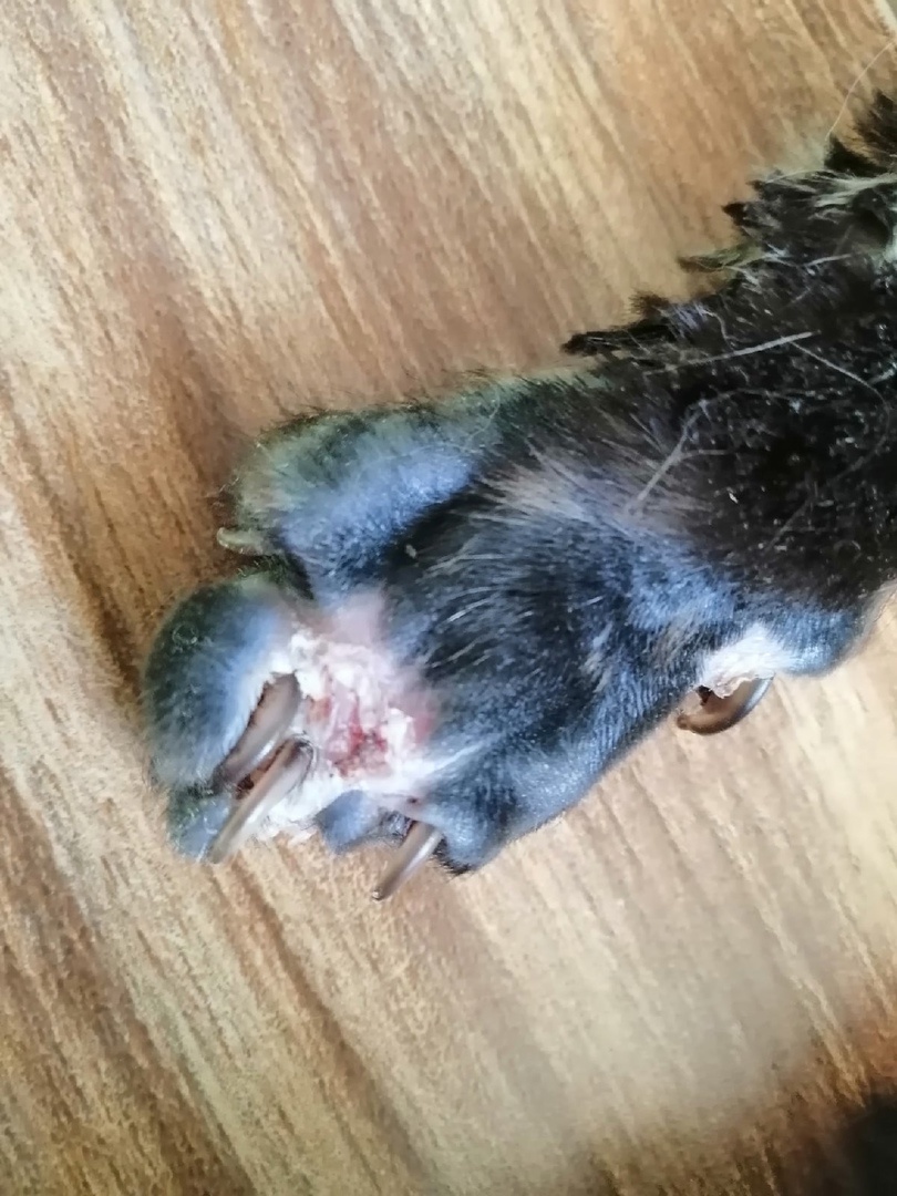 Через две недели после начала лечения