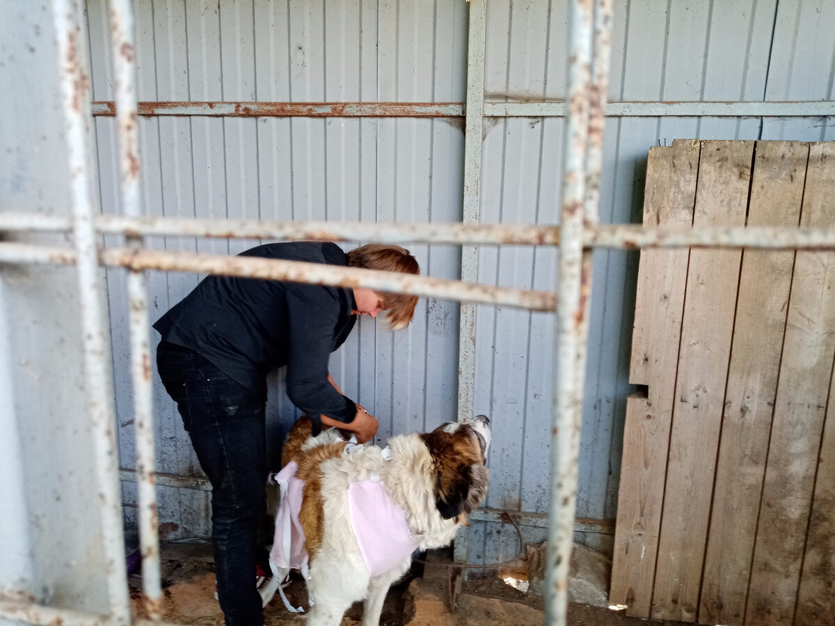 Буся и Аня. Фото из личного архива