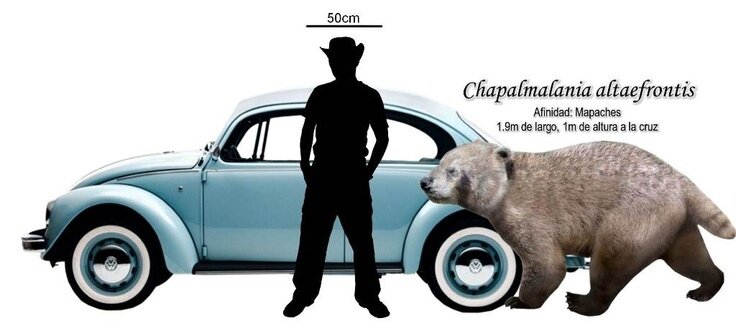 Эй, ковбой, брысь от моей машины!