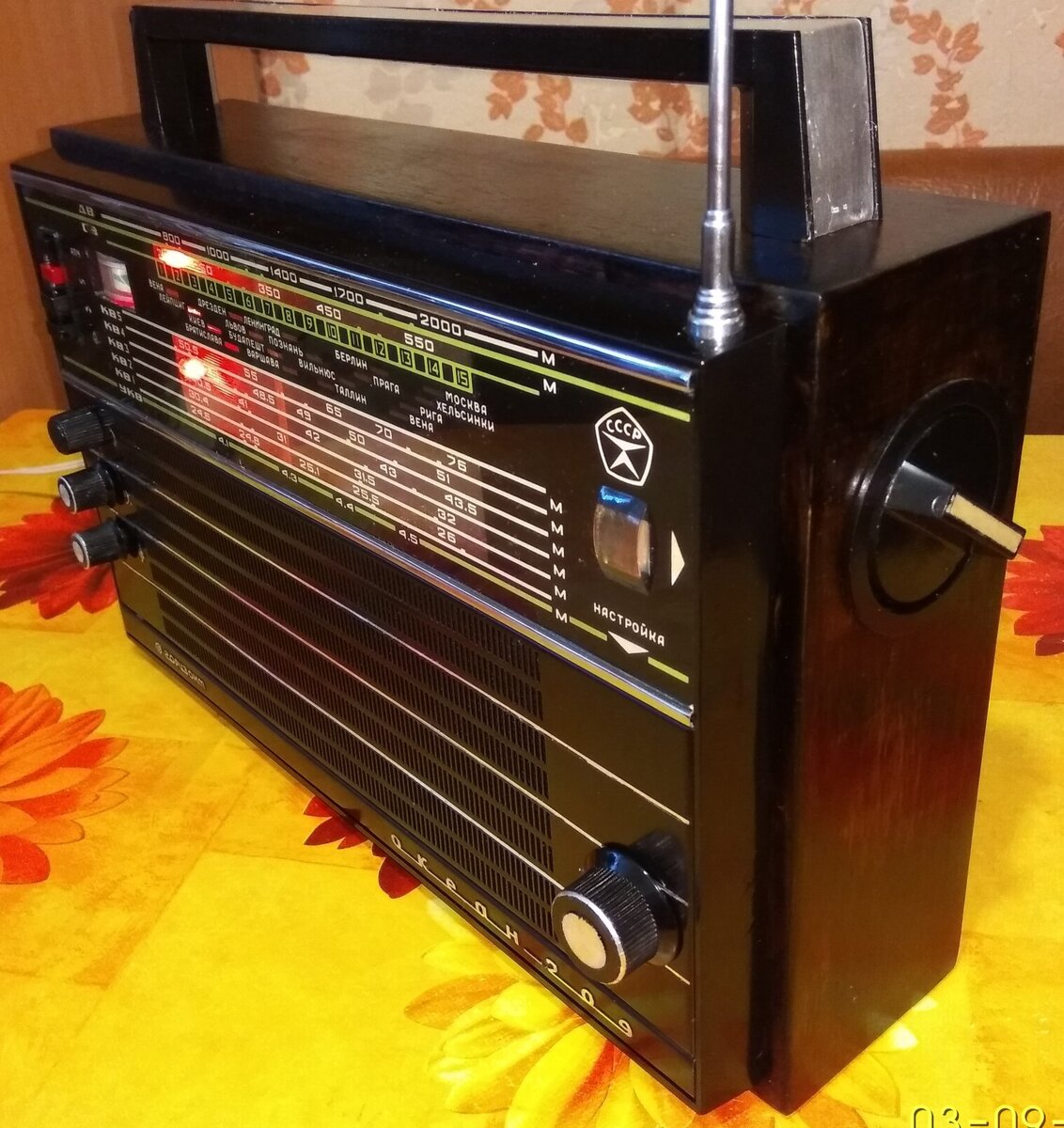 Океан 209. Корпус перекрашен, покрыт лаком.