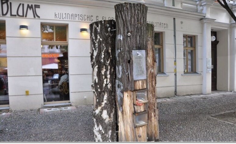 Library tree. Книжный лес в Берлине. Уличная библиотека. Уличная библиотека в парке. Буккроссинг на улице.