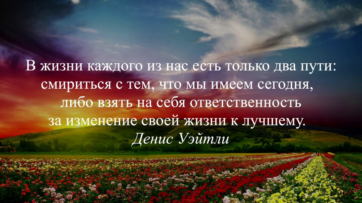 Фразы о выборе. Высказывания про выбор в жизни. Высказывания про жизненный путь. Мудрые высказывания про путь. Выражения про путь жизни.