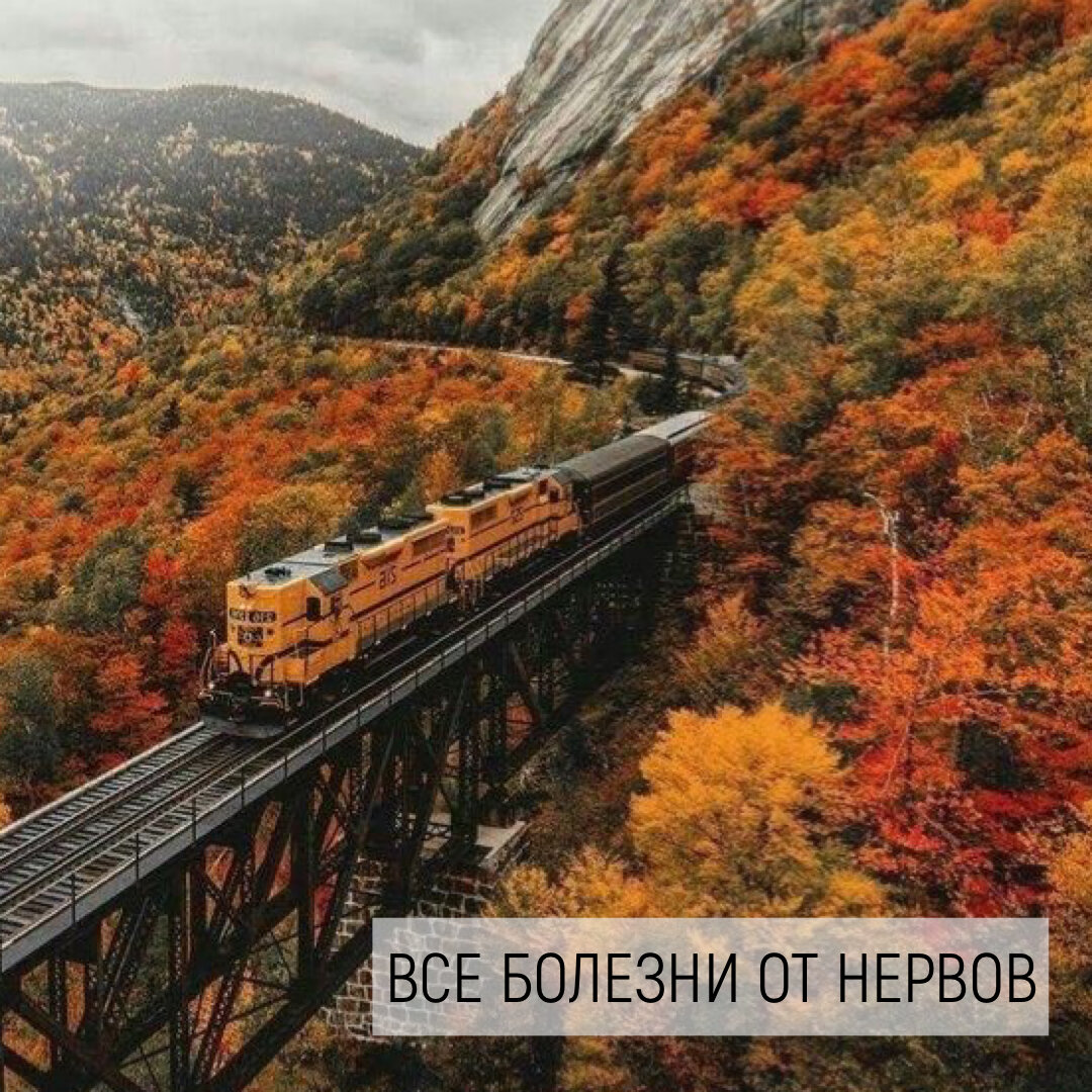 Слышали эту фразу? Что она для вас означает?