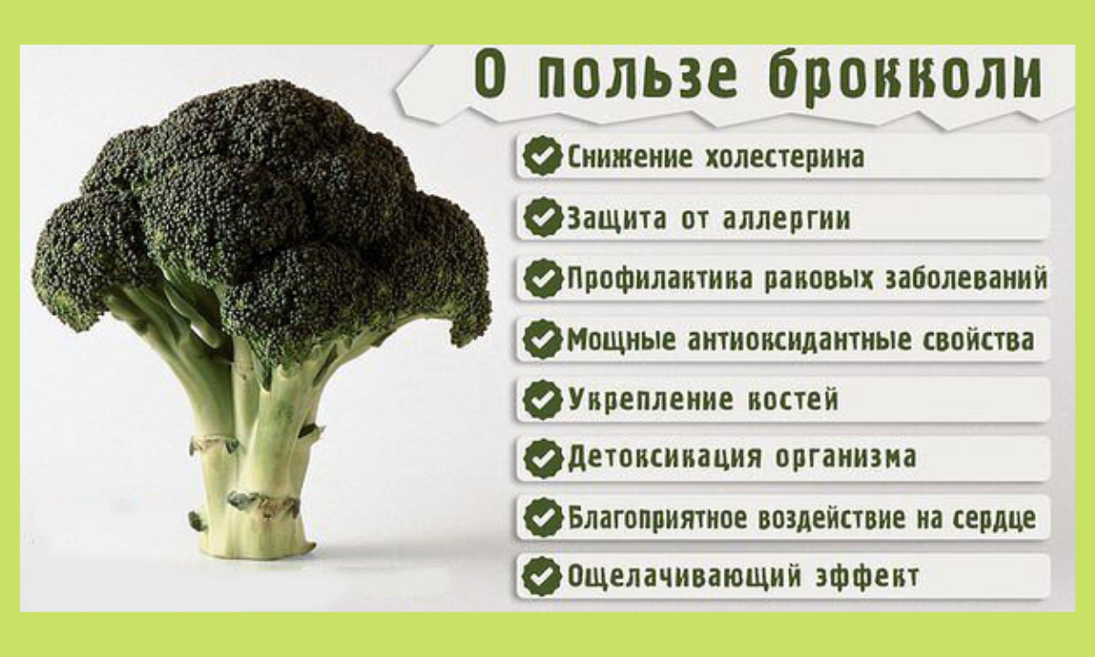 Состав брокколи и цветной капусты. Чем полезна брокколи для организма. Чем полезна брокколи. Брокколи польза.