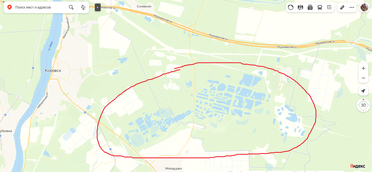 Бесчисленное множество водоемов на карте - это и есть Синявинские карьеры