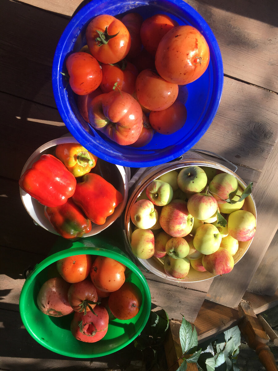 Мой урожай.