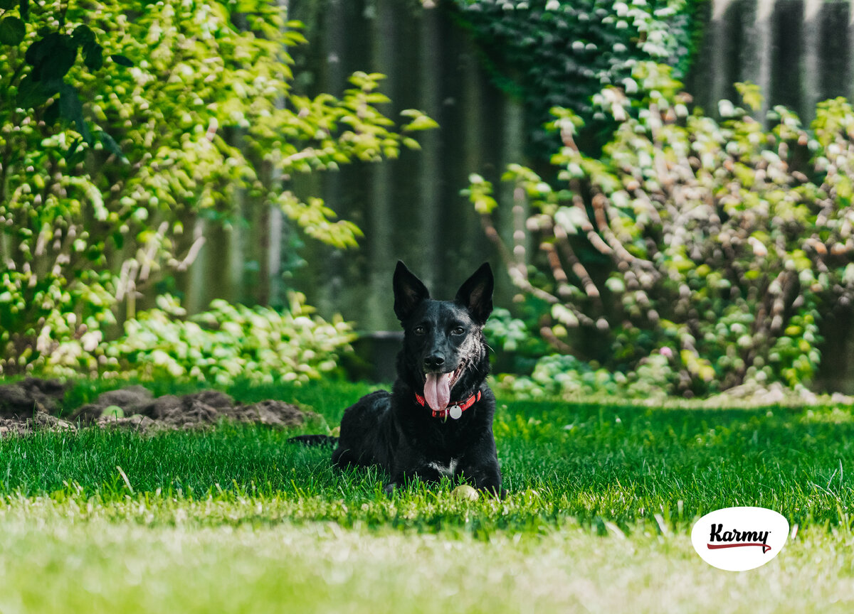 Авторское изображение с использованием картинки с фотостока "Unsplash"