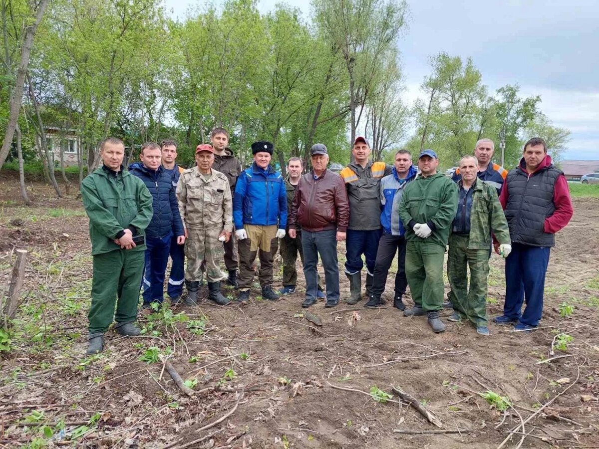 Сфера тв новоспасское новости. Новости Новоспасское. Сфера ТВ Новоспасское новости ,на 1 февраля..