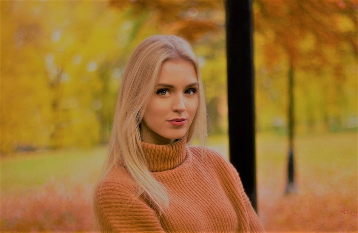 Яндекс. Картинки
