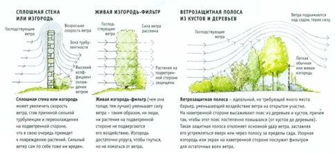 Сплошная стена или глухой забор увеличивает скорость ветра
