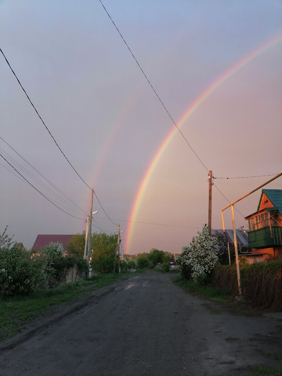 Ловите знаки вокруг