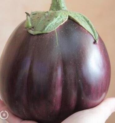 Баклажан "Бычье сердце"