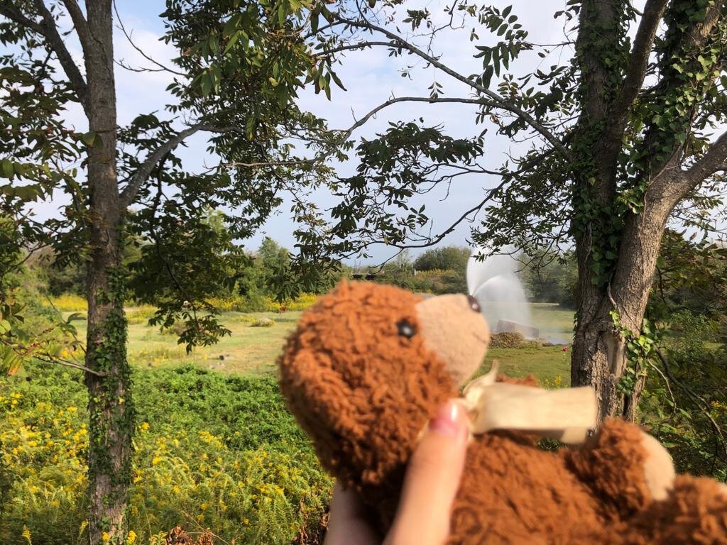 Привет! из моего носика бьет гейзер!!!