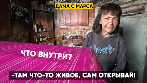 Download Video: «Там что-то живое, сам открывай!» Дама с Марса сильно испугалась. Что внутри коробки?