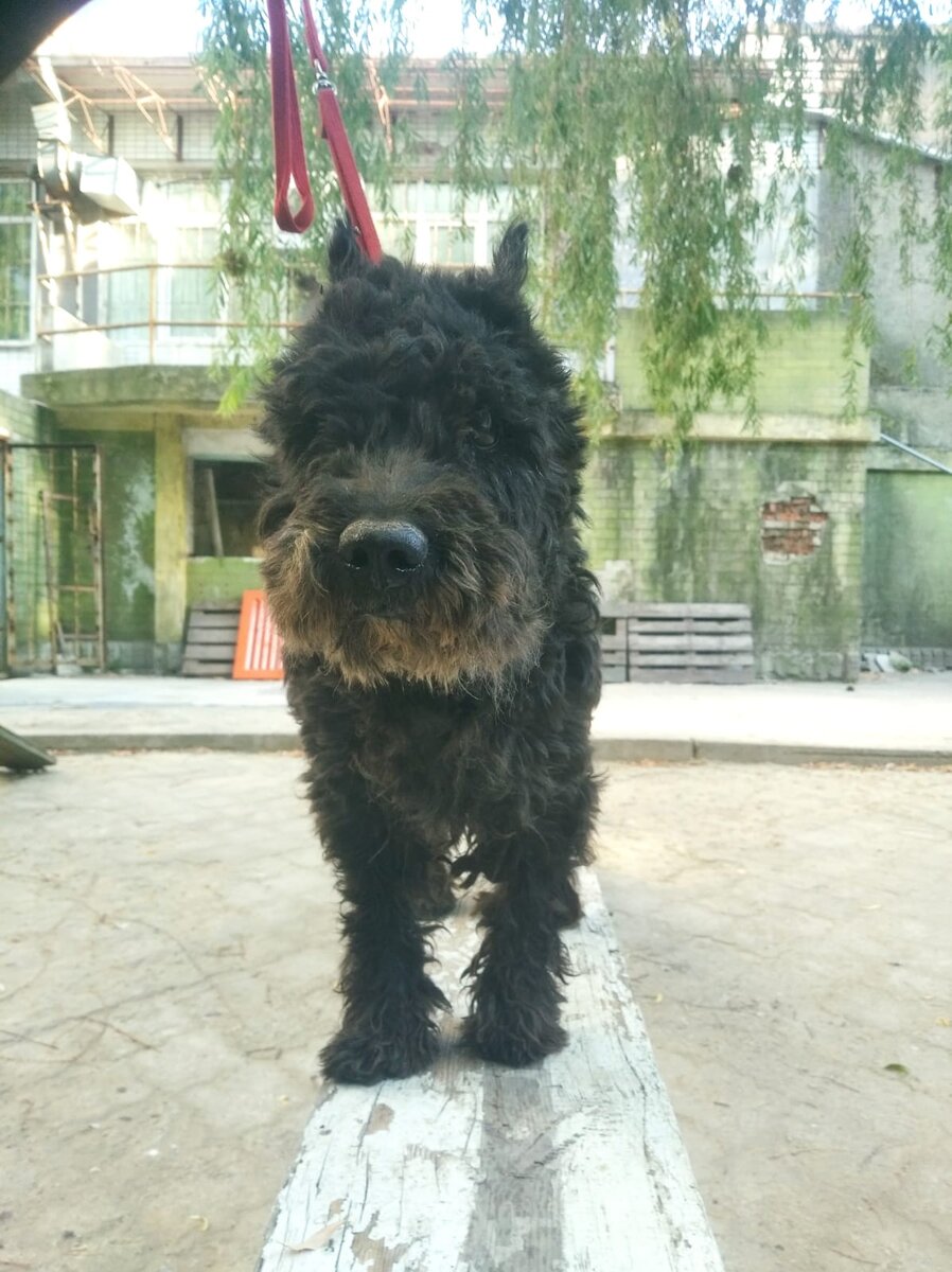 Максимилиан брутальный позирует на баме. 