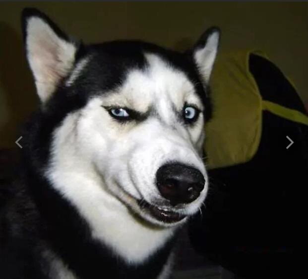 Моё лицо, когда я вижу у пользователя 88% оставшегося ресурса SSD при 20Тб перезаписи за три года.