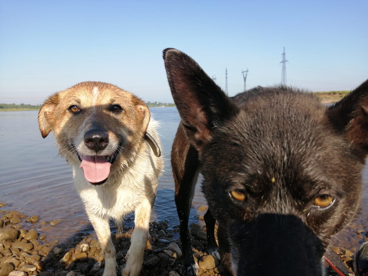 Хоть и попала тень на Тусю, все равно видно, какая она милашка