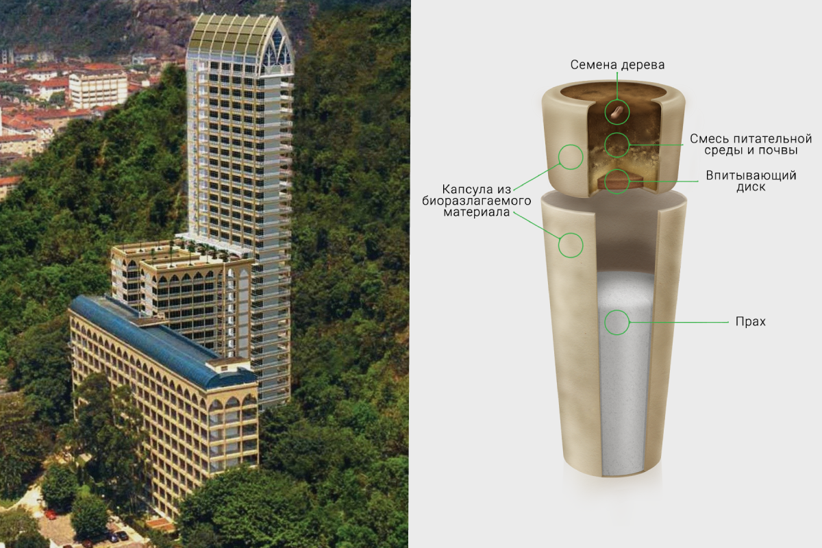 На фото слева: кладбище-небоскреб. Справа - биоразлагаемая капсула.