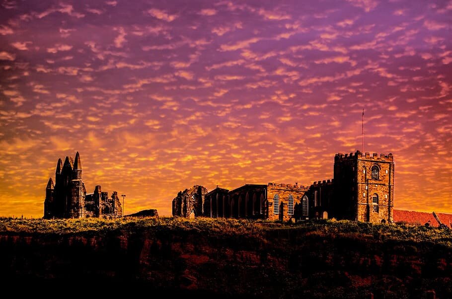 Фото: соцсети