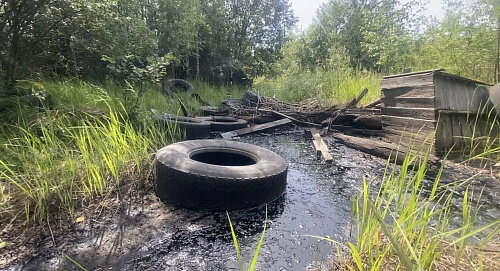 Фото: rpn.gov.ru 