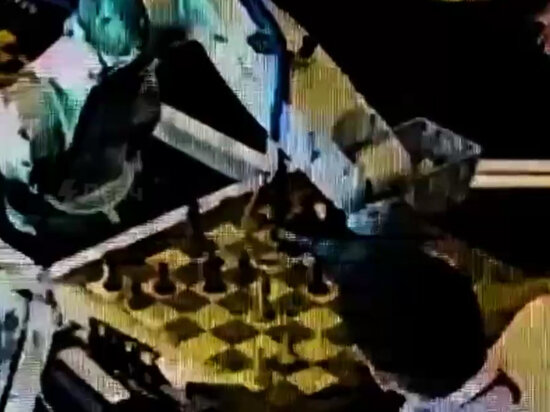   Кадр из видео
